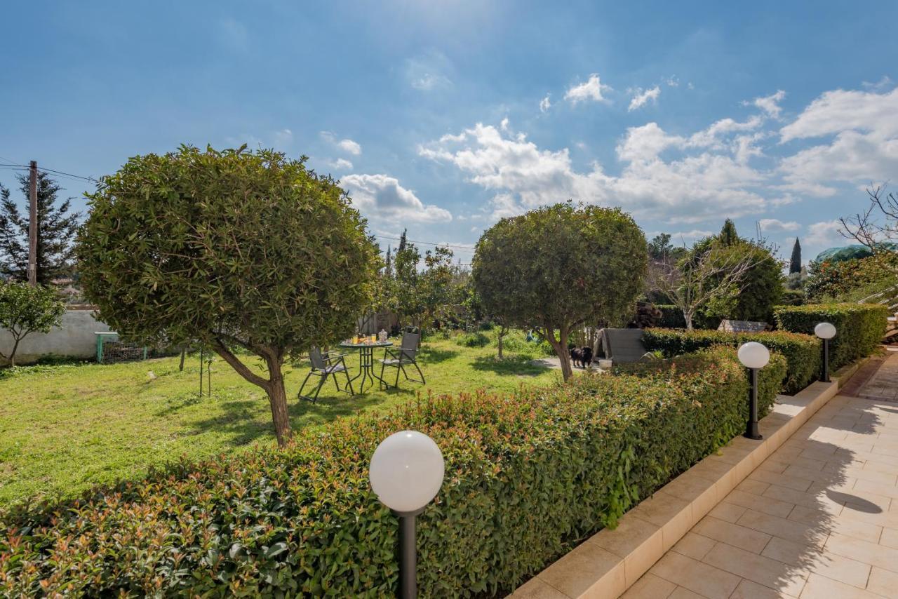 Eleni'S Cozy Apartment In Tsilivi Gaitani エクステリア 写真