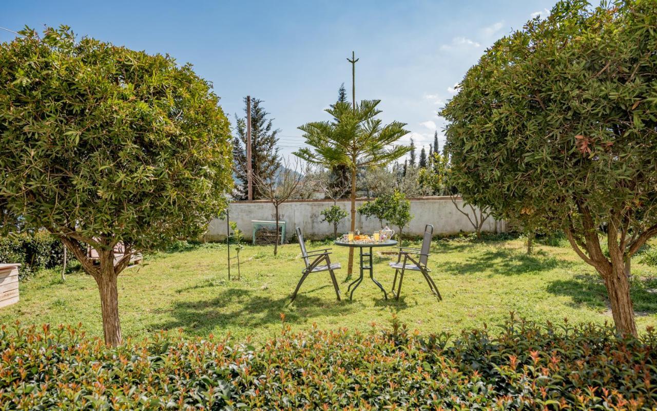 Eleni'S Cozy Apartment In Tsilivi Gaitani エクステリア 写真