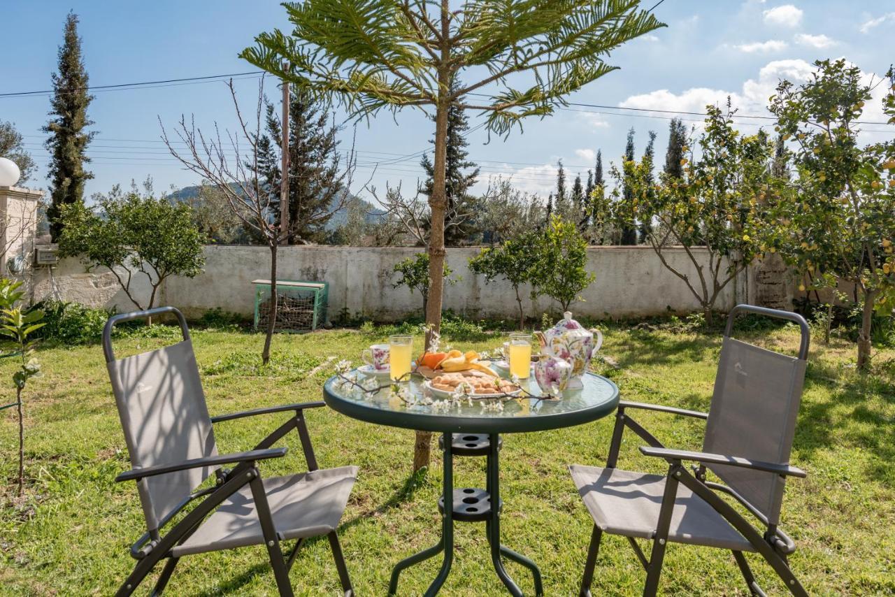 Eleni'S Cozy Apartment In Tsilivi Gaitani エクステリア 写真